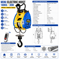 Mini-treuil électrique à câble King 180 kg 30 m avec télécommande pour usage domestique et entretien d'atelier de vente au détail