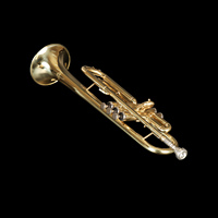 China Factory Direct Sales Cheap Wholesale High Quality Performance Bb Key Gold Musical Trumpet