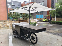 Vélo-chariot à glaces et hot-dogs mobile