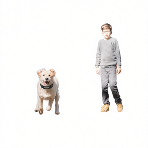 Collier GPS sans fil 2 en 1 pour chiens de petite, moyenne et grande taille, étanche IPX6, avec contrôle par application et stockage sur le cloud - Product Image 1