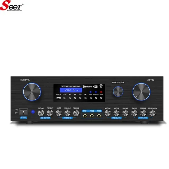 SK-300 2 Channel Professional Power Amplifier 300W X 2 High Fidelity Audio Amplifier for KTV Stage Conference Audio System