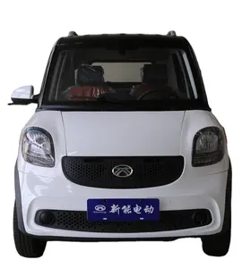 좋은 품질 브랜드 새로운 미니 전기 자동차 재고 중국어 2 인승 전기 미니 자동차 성인 영리한 전기 자동차