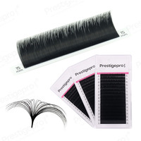 Extensions de cils professionnelles Mega Volume à éventail souple individuel 0.05 pour un effet naturel, prix de gros