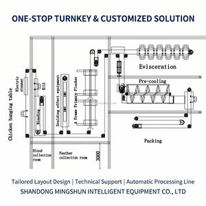 Ligne d'abattage de poulets automatisée compacte et clé en main la plus vendue pour <span class=keywords><strong>abattoir</strong></span> serbe avec une capacité de 1000 poulets par heure dans un conteneur de 40 pieds - Product Image 5