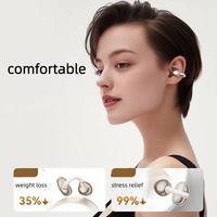 Écouteurs sans fil sportifs CQ-13 avec revêtement en peinture métallique, haute définition APE SSQVP, compensation améliorée, écouteurs intra-auriculaires