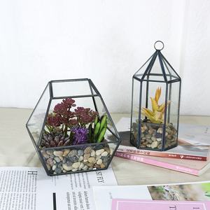 <span class=keywords><strong>Terrarium</strong></span> en verre de maison de fleur géométrique hexagonale d'or pour Pot de plante succulente de table - Product Image 3