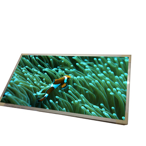 หน้าจอ LCD รุ่น T216XW01 V0 ราคาประหยัด คุณภาพสูง ขนาด 21.6 นิ้ว ความละเอียด 1366*768 TFT 16.7M สี โมดูล LCD - Product Image 1