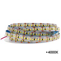 Prix usine 5m Flexible LED Bande Lumière DC12V 10mm 180LEDs/m IP20 Blanc SMD 2835 Blanc Chaud Paysage 12V Contrôleur D'entrée