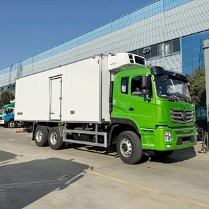 Camión Frigorífico Diésel 6x4 Marca CLW, Camión Refrigerado de 20 Toneladas para Transporte de Pescado Congelado y Helado - Product Image 4