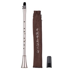 C Chiave Mini Semplice <span class=keywords><strong>Clarinetto</strong></span> Sax <span class=keywords><strong>Clarinetto</strong></span> Compatto-Sassofono ABS Materiale Strumento Musicale del Vento per I Principianti con Borsa per il trasporto - Product Image 4