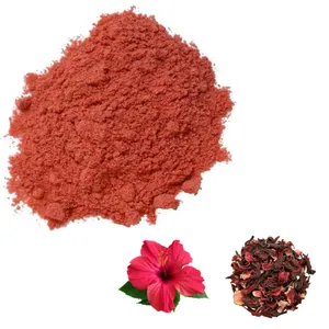 FST Biotec 100% Water Soluble Natural Organic Hibiscus Flower Rosa Sinensis Extract Instant Powder
