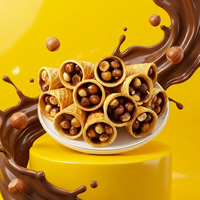 Vente en gros directe usine sous marque privée : Mini cornets croustillants, cornets de gaufres, cornets de biscuits fourrés au chocolat, cornets de gaufrettes au chocolat