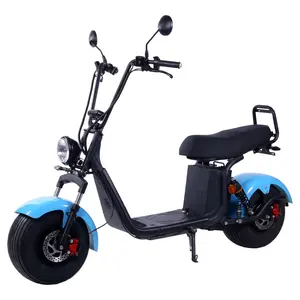 1500W 2000W Electric Scooters 8 inch 10 inch Tire Citycoco for Adults