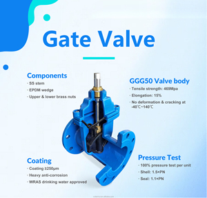 วาล์วประตูเหล็กดัดแบบยืดหยุ่นได้ AWWA C515 สำหรับป้องกันอัคคีภัย GGG50 แบบมีหน้าแปลน NRS OSY 250PSI FM UL รับประกัน <span class=keywords><strong>2</strong></span> ปี DN50-DN600 - Product Image 2