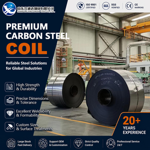 Welding S355JR S235JR Cold Rolled <b>Pickled</b> 5mm 600mm Leveling ASTM A36 Carbon Steel Coil for Shipbuilding - Product Image 1