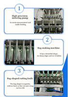 Machine de remplissage et d'emballage verticale automatique multi-voies pour liquides, destinée aux sachets de miel, de gelée de fruits et aux produits en stick