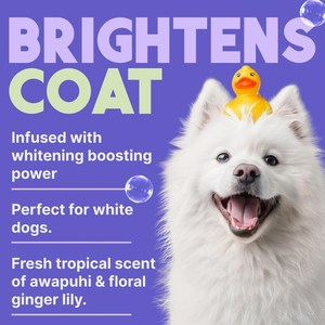 Shampooing blanchissant personnalisé pour chien, éclaircissant pour poils noirs, shampooing respectueux des animaux, brobiotique <span class=keywords><strong>antifongique</strong></span> pour chien blanc, sûr pour chiot - Product Image 4