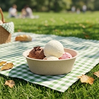 Herbruikbare wegwerpkommen van 200 ml, biologisch afbreekbaar, van bagasse en pulp, met deksel voor yoghurt, ijs en fruit.