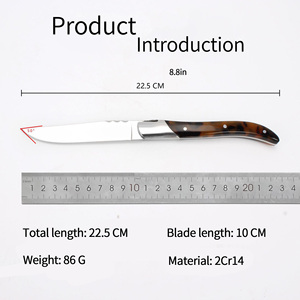 Cuchillo Occidental de Acero Inoxidable con Mango Ergonómico para un Agarre Cómodo y un Corte Preciso - Product Image 6