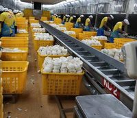 Automatische industriële kokoswater- en melkverwerkingslijn, apparatuur voor kokosproductie fabriek