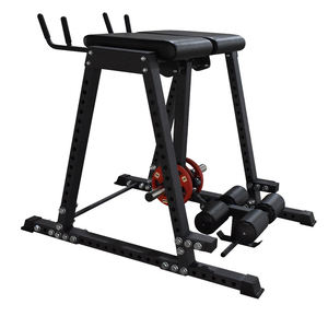 Equipo de gimnasio de Fitness comercial, hiperextensión inversa - Product Image 4