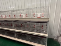 Nouvelle cage à poules pondeuses de type H, conception à faible stress, acier galvanisé inoxydable, garantie 1 an, 3 à 8 niveaux, facile à assembler