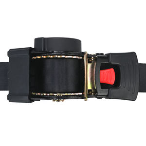 Snelkoppeling Ratel Vastbinden Riem 10ft X 2in Auto Intrekbare Ratelband - Product Image 5