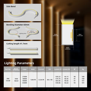 Tira de Luz LED de Neón Curvable Lateral de Alta Eficiencia - 100LM/W, 12W/M, Alto CRI >90, 2700K-6500K, Diámetro de Curvatura de 60mm - Product Image 2