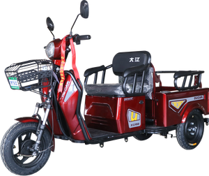 Tricycle for Disabled Adults Open Body 500W Motor <b>2</b> <b>Passengers</b> 850x800mm Box - Product Image 3