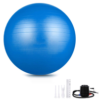 LADYGLOW Ballon de yoga personnalisé avec logo personnalisé, coloré, grand ballon de yoga, vente en gros, exercice, PVC, 65 cm, 75 cm, 95 cm, ballon de yoga Pilates