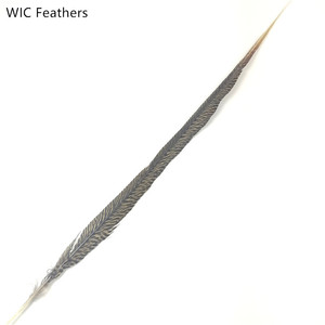 Lông Đuôi Gà Lôi Vàng Dài 10-75Cm/4-30in Màu Tự Nhiên - Product Image 4