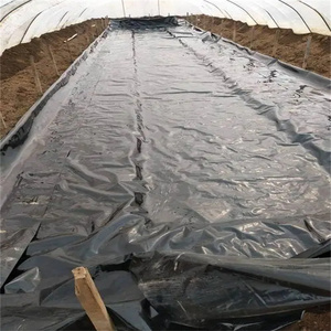 Composite <span class=keywords><strong>geomembrane</strong></span> 20mli Pond Liner hồ bơi mái tầng hầm bảng chống thấm nước hồ nhân tạo hồ chứa tăng cường đập - Product Image 5