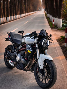 Motos Benelli Huanglong <span class=keywords><strong>300</strong></span> y 600 de 400-600cc, Bicilíndricas/En Línea, para Conducción Urbana y de Alto Rendimiento (>80km/h) - Product Image 3