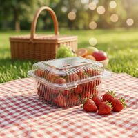 Boîte d'emballage alimentaire pour fruits et légumes frais, en PET transparent, écologique, 175x154x80mm, avec trous de ventilation respirants