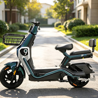 Le vélo électrique à moteur silencieux de 500 watts, de conception récente, est disponible en plusieurs couleurs avec un cadre en acier.