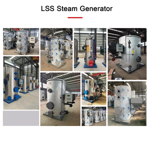 Nuovo Generatore di Vapore Verticale a Tubi di Fumo per Uso Industriale, a Bassa Pressione, Alimentato a <span class=keywords><strong>Carbone</strong></span> e <span class=keywords><strong>Legna</strong></span> - Product Image 2
