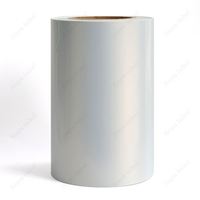Lot de 100 feuilles d'autocollants imprimables vierges 8,5x11 A4, argent mat, PET, autocollants imperméables, étiquettes d'expédition, imprimante laser