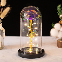 Pour toujours cadeau de la Saint-Valentin des mères fleur préservée noël plastique éternelle galaxie rose dans un dôme en verre avec lumières led