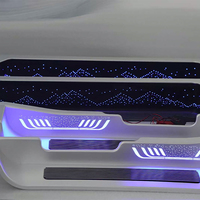 Mercedes-Benz Vito V-Klasse W447/W448 Aluminiumlegierung Leuchtende Fußmatten Viertüriger Business-Stil Schraubbefestigung Einstiegsleiste