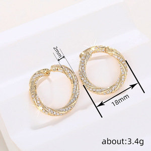 Orecchini a Cerchio 3D con Micro Pavé di Zirconi per Donna, Accessorio di Gioielleria alla Moda - Product Image 4