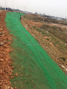 حصائر Geonet ثلاثية الأبعاد عالية الشد لحماية منحدرات الصخور HDPE 3D Geomat للتحكم في التآكل - Product Image 5