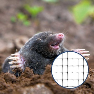 PP Zwarte Anti-Mol Net Molwerend Plastic Afrastering, Tuin Boerderij Anti-Hert Dierenbestendig Gaas, Herbruikbare Buitenbarrière - Product Image 6