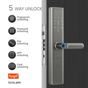 Ev Kapısı Kapı Zili Kolu Düğmesi Dijital Anahtar Kartı Biyometri Parmak İzi TTLock Tuya Uygulaması Elektronik Akıllı Kapı Kilidi Üreticisi - Product Image 2