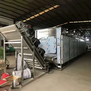 Máquina de horno de secado de alimentos de túnel automático Secador de aire caliente tipo correa para secar jengibre