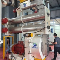 Máquina Peletizadora de 10 TPH para Alimento Animal, Máquina para Molino de Alimento para Aves, Máquina Procesadora de Alimento para Ganado, Máquina para Hacer Pellets de Pollo