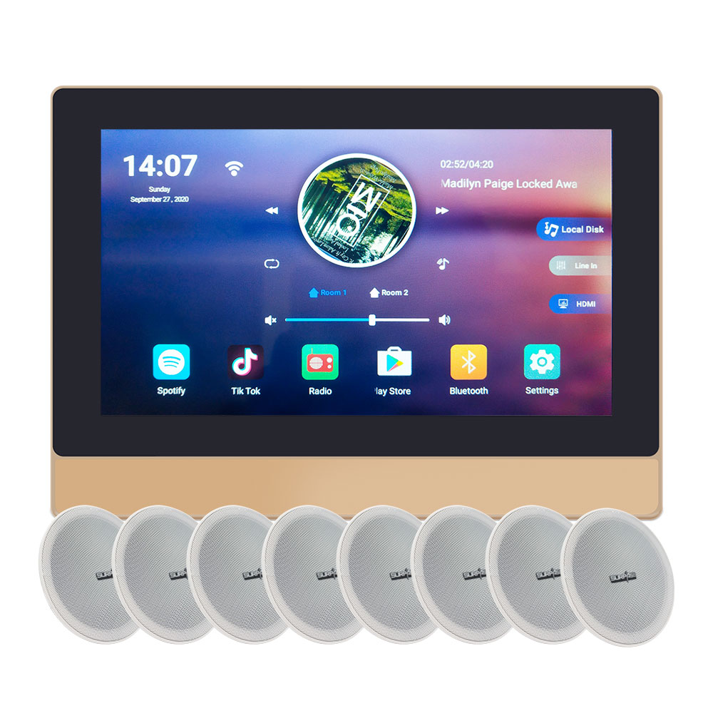 Wifi+blue-tooth Usb Interface Amplifier 