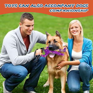 Yeni köpek çiğnemek oyuncak sığır kas savaşçı eğitim Bite dayanıklı naylon diş taşlama temizleme Pet sahipleri için güçlü checute sevimli - Product Image 5