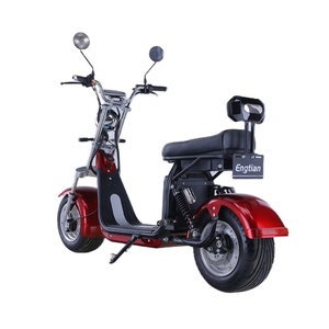 Scooter électrique à deux roues EEC COC, entrepôt européen, scooter électrique à pneus larges, citycoco, scooter électrique 2000w - Product Image 6