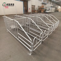 Enclos de gestation pour truies en acier galvanisé, fabrication directe, équipement d'élevage porcin, vente en gros, sur mesure