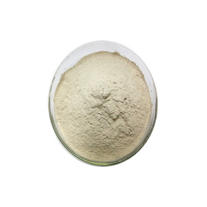 Natural <strong>Noni</strong> Fruit <strong>Extract</strong> Powder 99 Percent High Purity Food Grade Drum Packing - Product Image 2